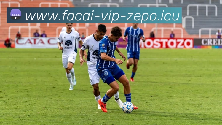 乐鱼体育注册平台生态图