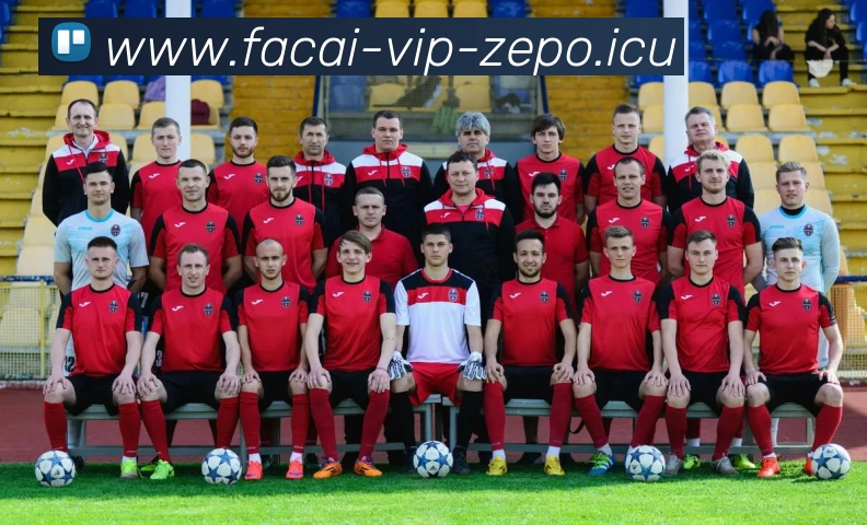 乐鱼体育注册APP 封面图